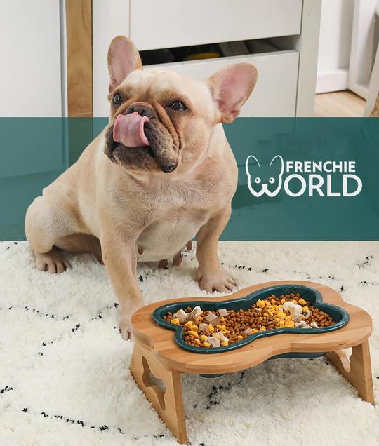 food bowls for frenchies